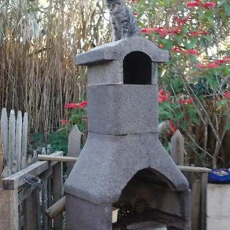Rural Marian בקתה